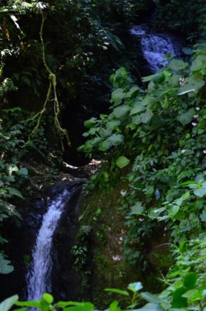 Monteverde, Cascade (Carate)