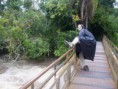 /album/argentine/a1034-iguazu-jpg/